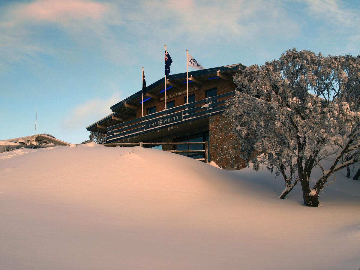 Ski Club Of Victoria - Ivor Whittaker Lodge Mount Buller Exteriör bild
